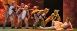 IMG_2795 (1).jpeg